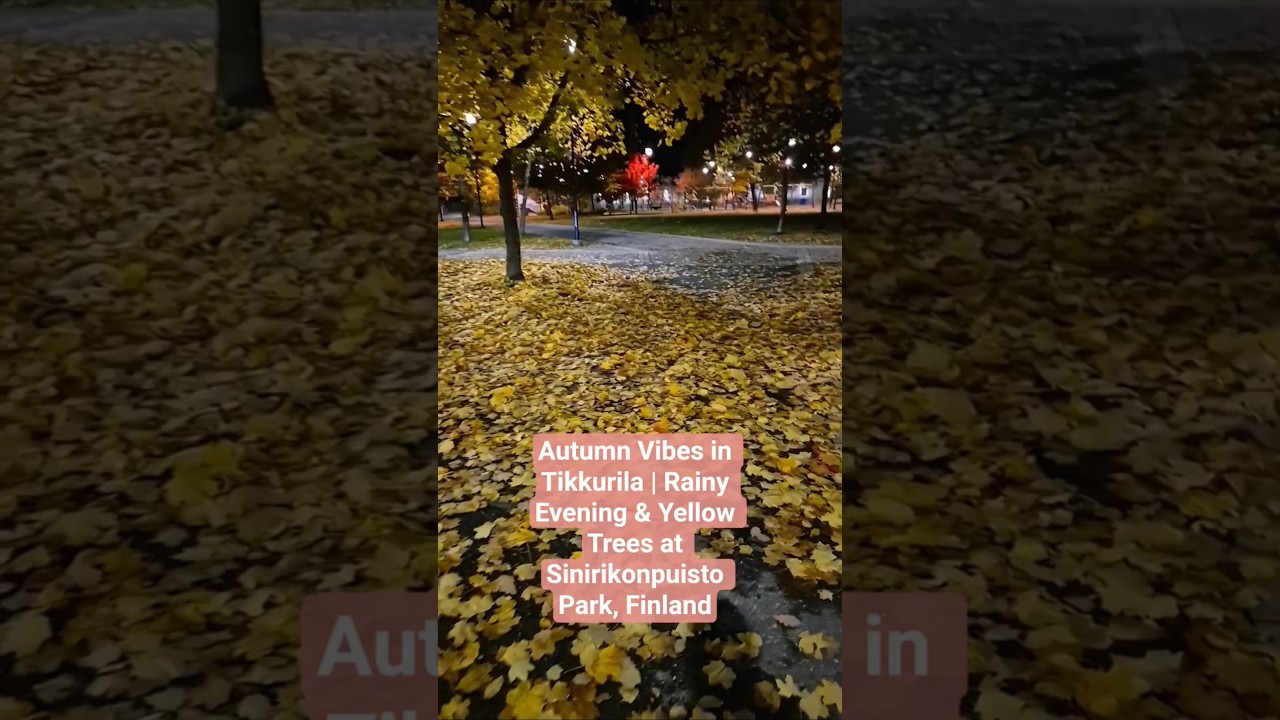 Autumn Vibes in Tikkurila | Rainy Evening & Yellow Trees at Sinirikonpuisto, Vantaa #autumn #finland