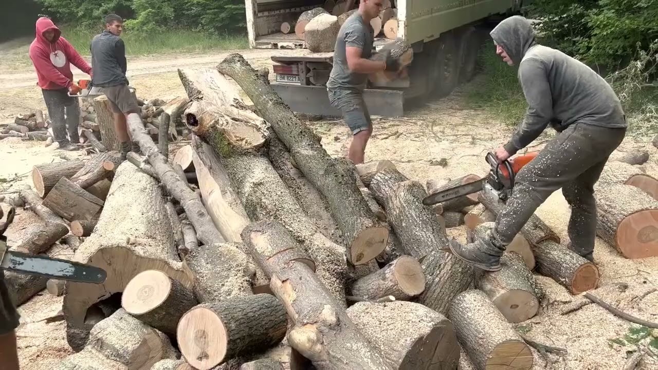 STIHL 362 & 462 C-M in the Deep Forest