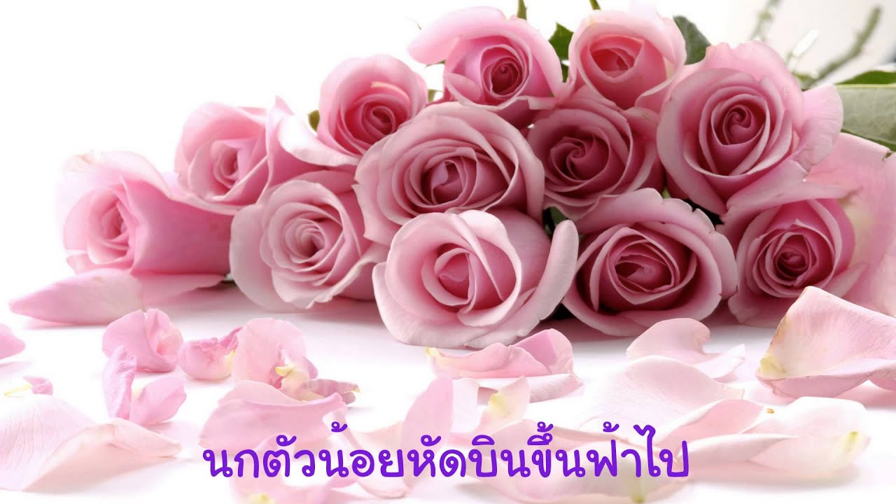 ล่องลอย -  นิโคล เทริโอ
