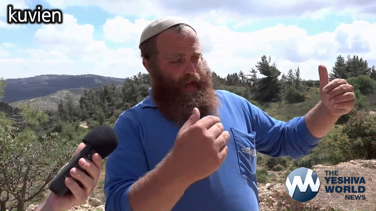Rare Second Temple Era Mikva (Ritual Purity Pool) Discovered in Jerusalem | מקוה עתיקה שהתגלתה בי-ם
