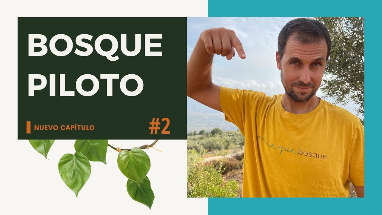 &iquest;Qu&eacute; es un bosque comestible de secano? [Episodio 02]