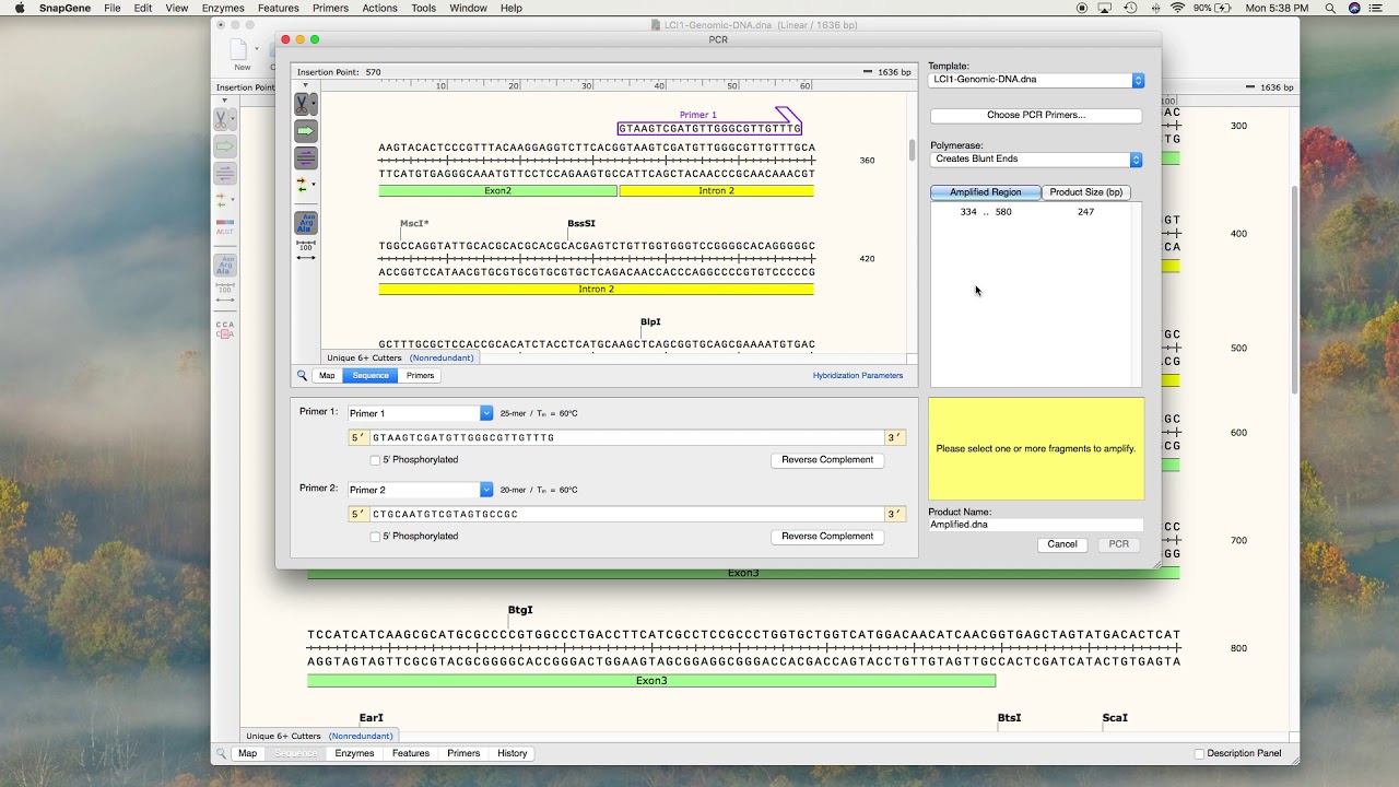 SnapGene Tutorial Part 3 Primers Design and PCR
