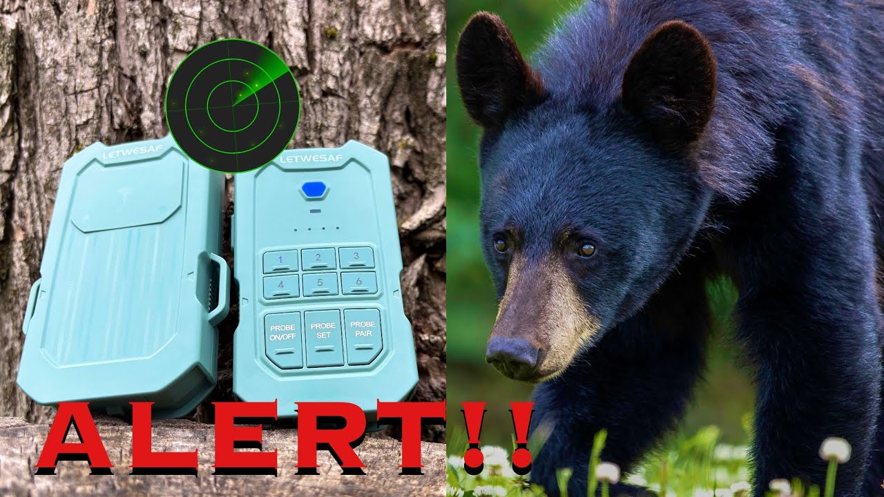 LETWESAF Radar Motion Alarm Review - Ultimate Camping Security?
