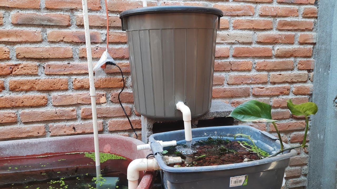 filtros nuevos para los ESTANQUES DE TORTUGAS