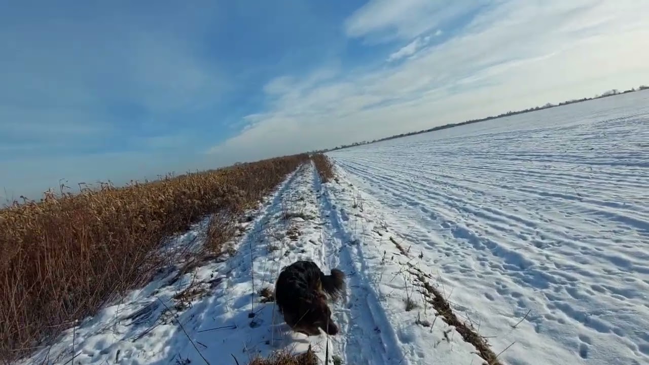 Vlog 5 Smutny Grudzień 
