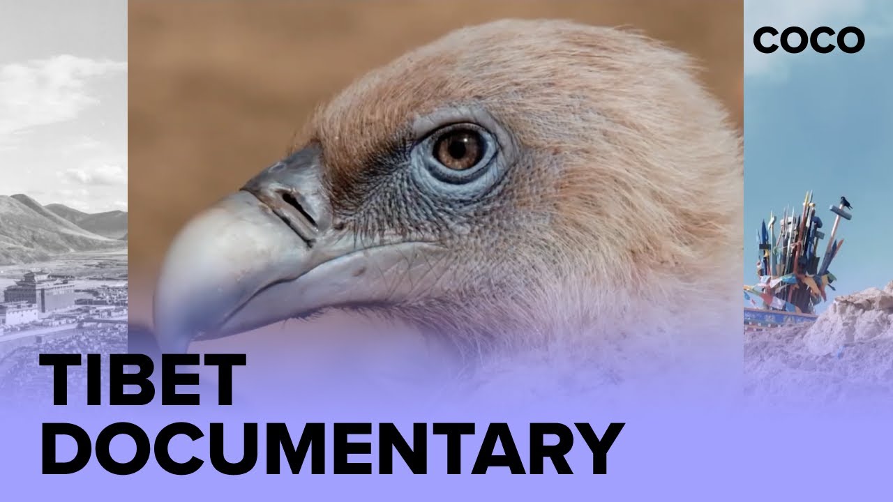 Tibet Documentary by Jose Jeuland | COCO Creative Studio