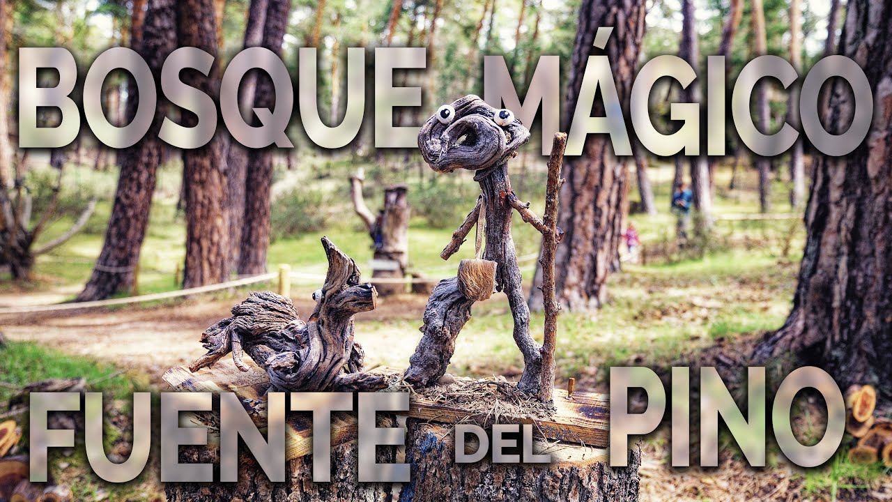 Bosque Mágico Fuente del Pino San Leonardo de Yagüe