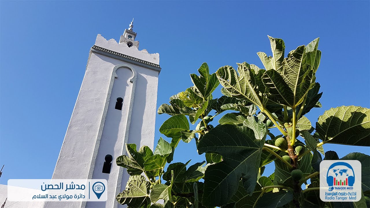 03 - صور من البادية (مدشر الحصن)