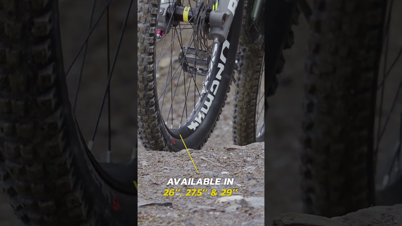 Mavic Deemax Park wheelset