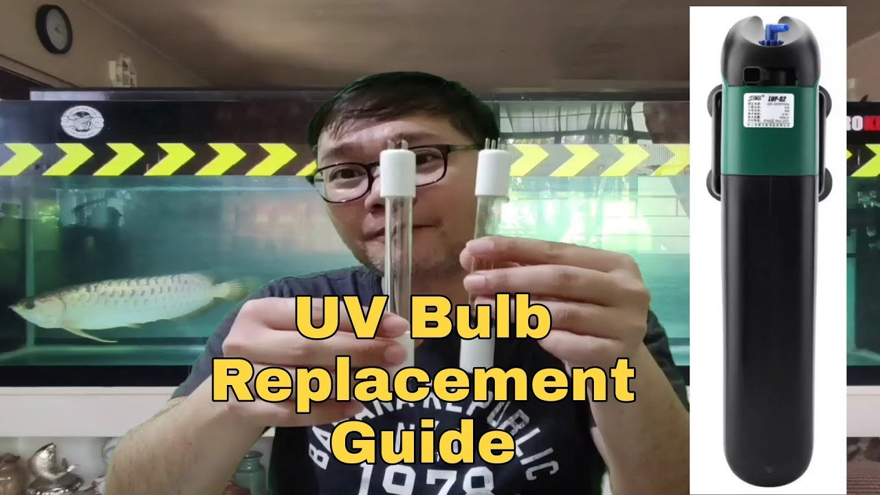 UV Bulb Replacement Guide - Tips and Tricks 3