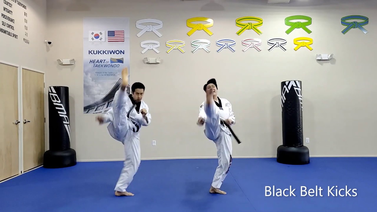Black Belt Kicks Training 1- Online Taekwondo Class - At Home Taekwondo Training Challenge