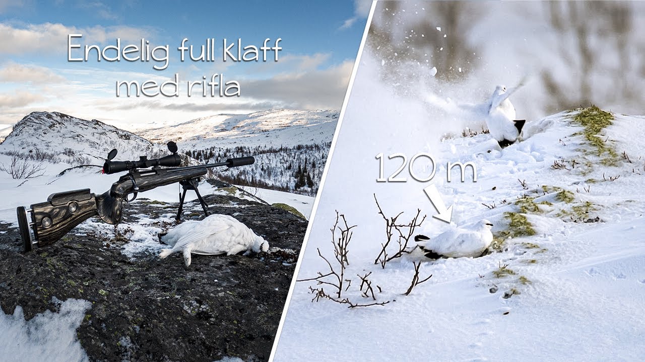 Vinterjakt med n&aelig;rbilder av skuddsituasjon p&aring; rype - Utmarka S02E02