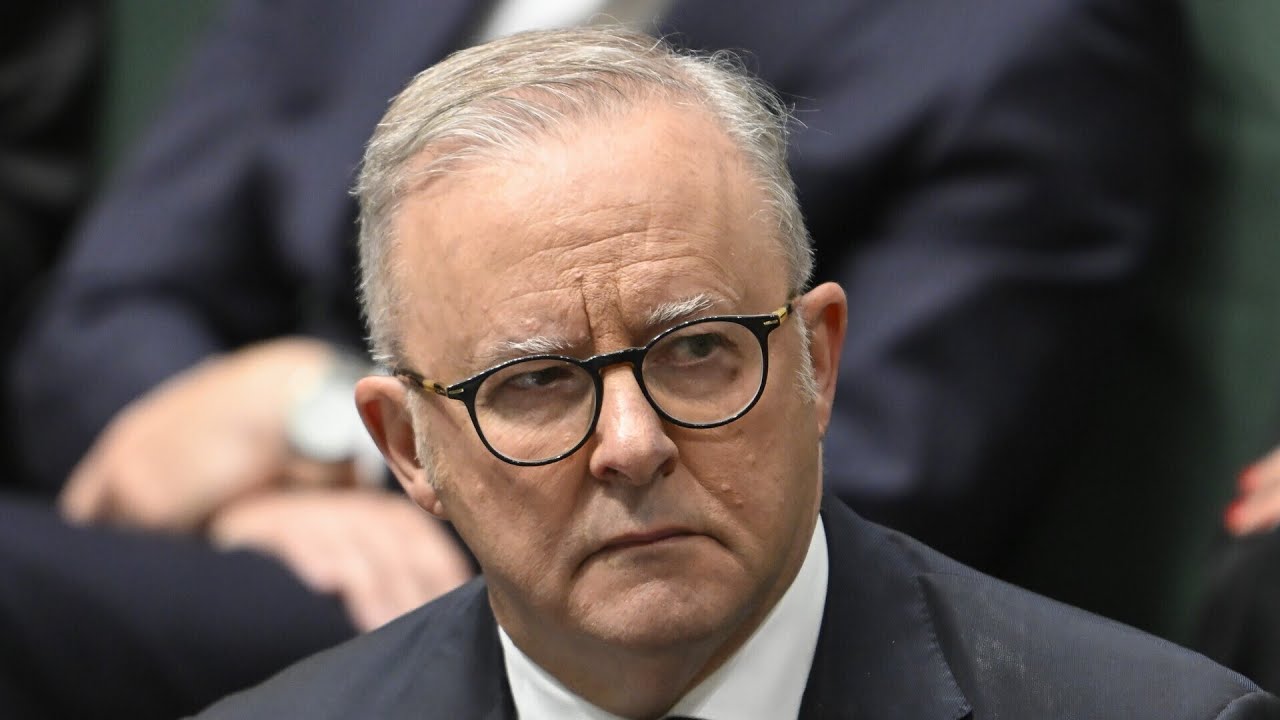 ‘People should be concerned’: Albanese government allowed 400,000 migrants in three years