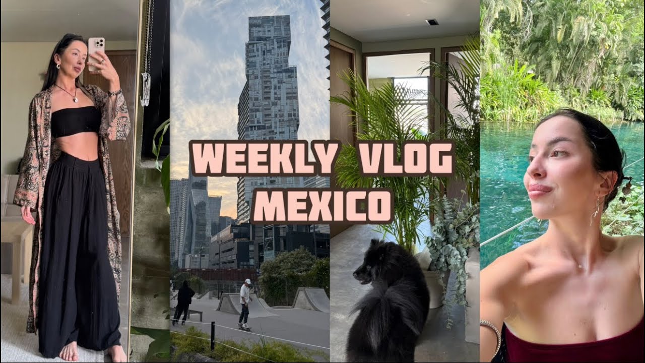 VLOG || жизнь с собакой в Мексике | мысли о возвращении  | пересадка растений