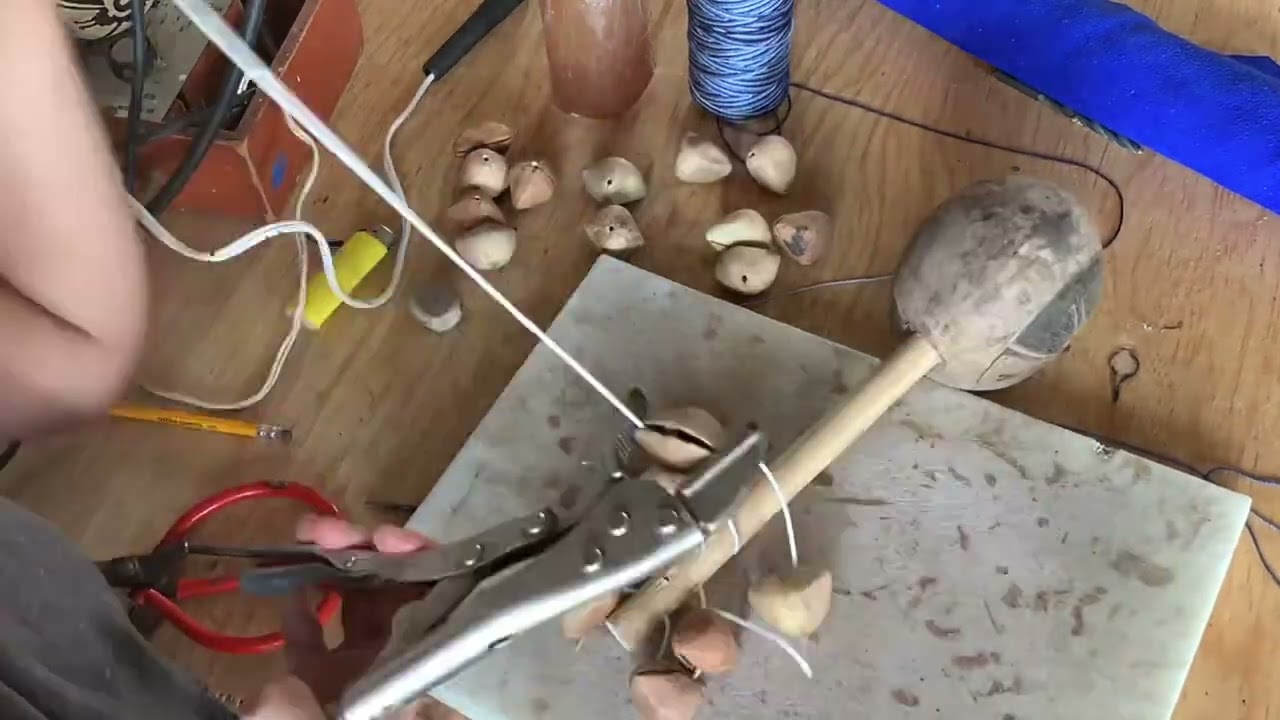 Sonaja sagrada con Ayoyotes