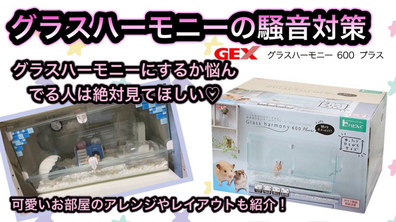 【ハムスター】シーちゃんのお部屋★グラスハーモニー600プラスの騒音対策！