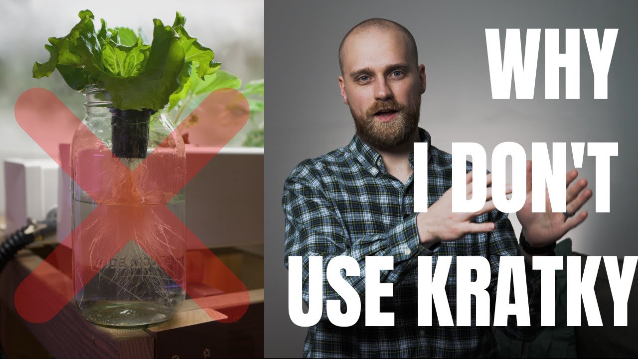 5 Reasons Why I Don't Use Kratky for Hydroponics