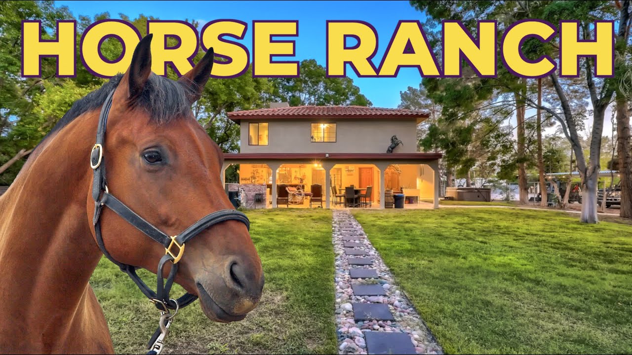 3.3+ Acre Las Vegas Horse Property for Sale 🐴 $1,750,000 Horse Bording Turnkey Opportunity