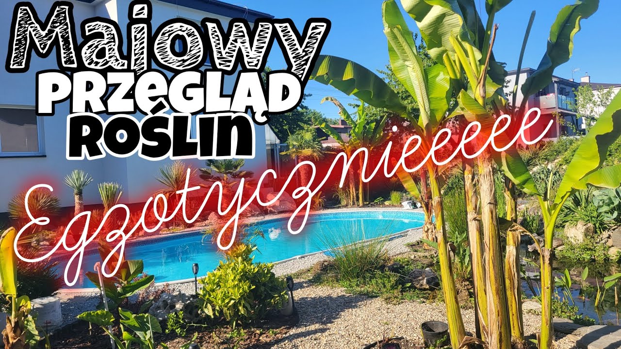 Spacer Po Ogrodzie! Kwitnące Rośliny! Wiosna w pełni