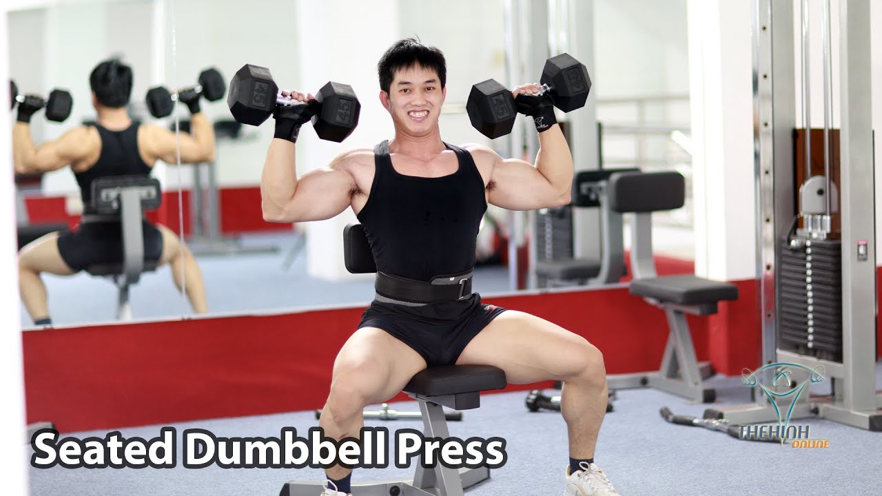 Seated Dumbbell Press đẩy vai hiệu quả tập thể h&igrave;nh fitness