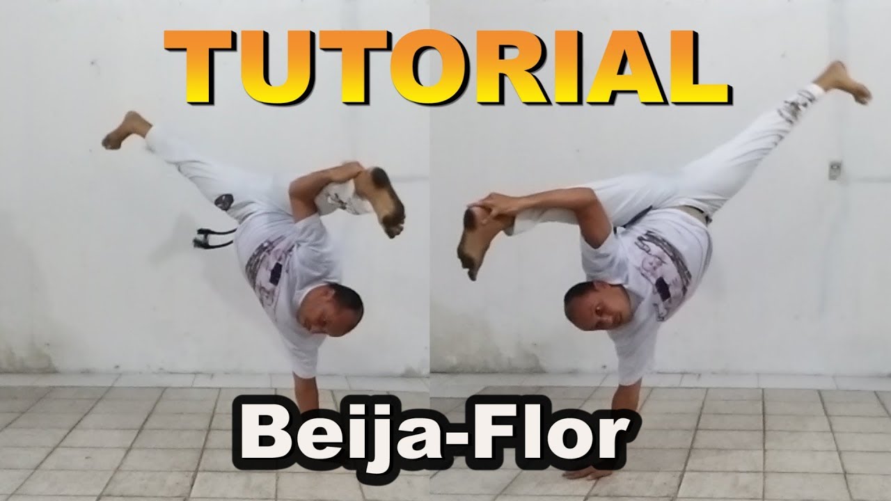 Tutorial Mestre Koioty#07 (Beija-flor /Bico de papagaio/ aú de bico /Leque) Aprendendo a florear 2.0