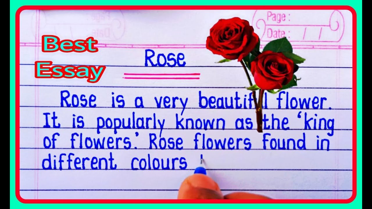 Essay On Rose || Rose Essay In English Writing 🌹 Few Lines About Rose Flower