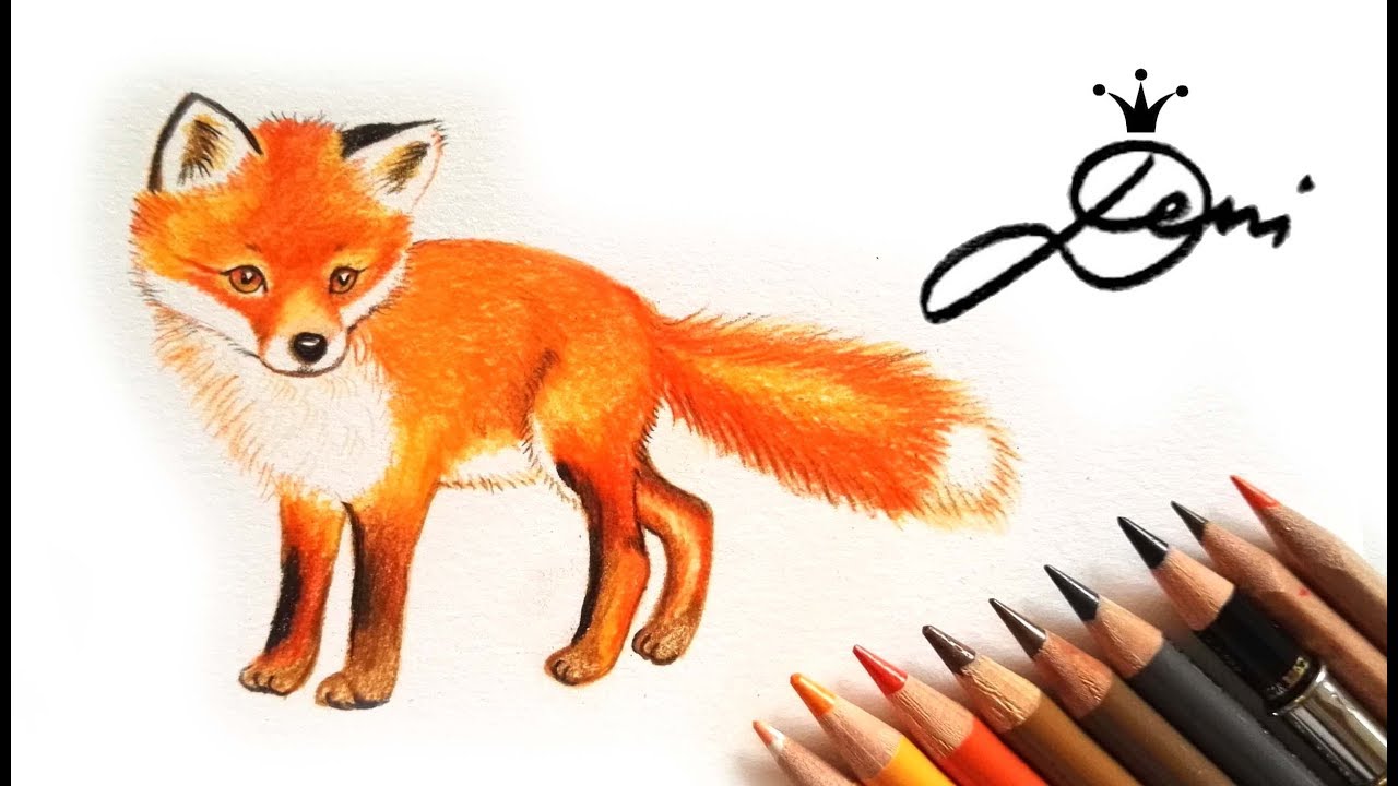 🦊 Wie zeichnet man einen Fuchs in Farbe und Echtzeit 🦊  How To Draw A Fox 🦊 как се рисува лисица