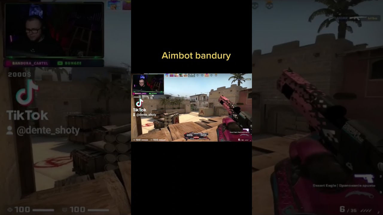 Aimbot bandury