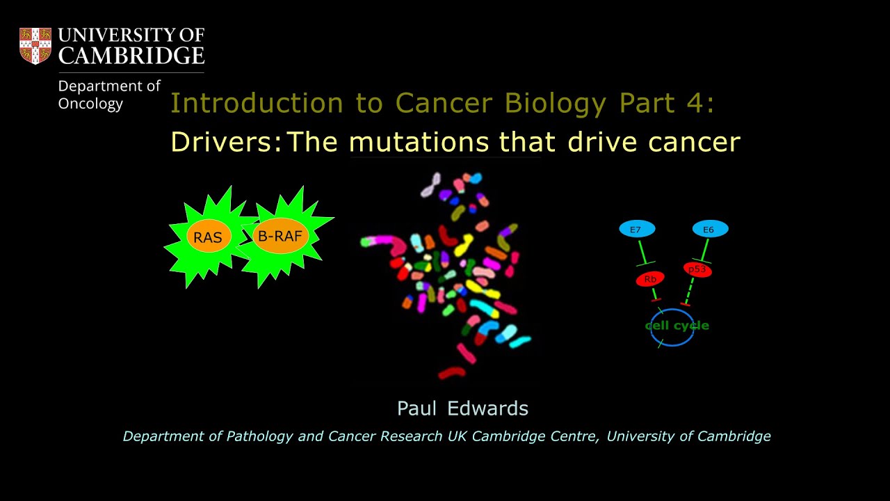 Video 4: Drivers - The mutations that drive cancer