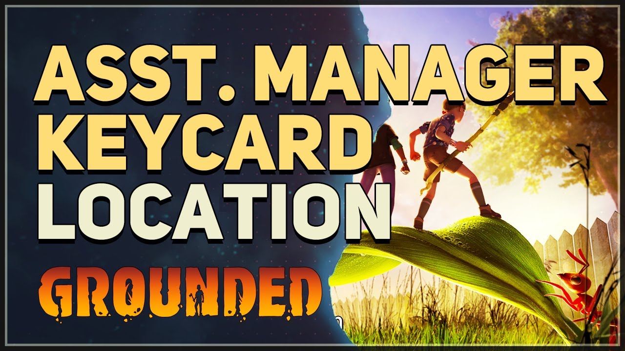 Asst. Manager Keycard Location Grounded