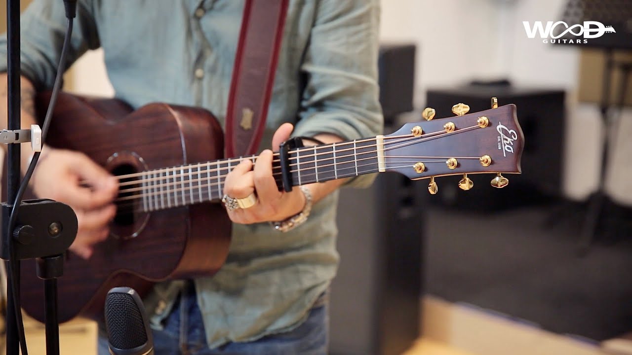 WOOD GUITARS - Eko Marco Polo - Recensione