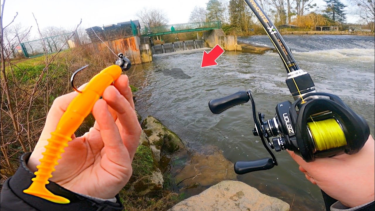 Je pêche enfin le poisson que je cherchais depuis si longtemps !!! (fermeture carnassier 2024)