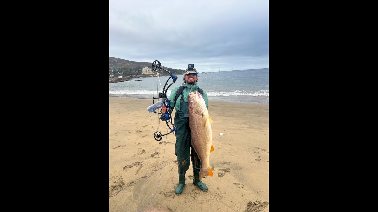 Pesca con Arco de una gran Corvina, Papudo 2025