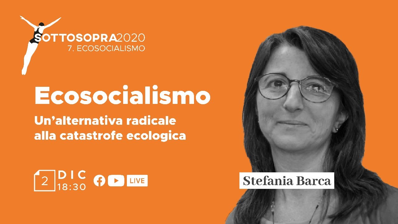 Ecosocialismo. Un'alternativa radicale alla catastrofe ecologica | Stefania Barca