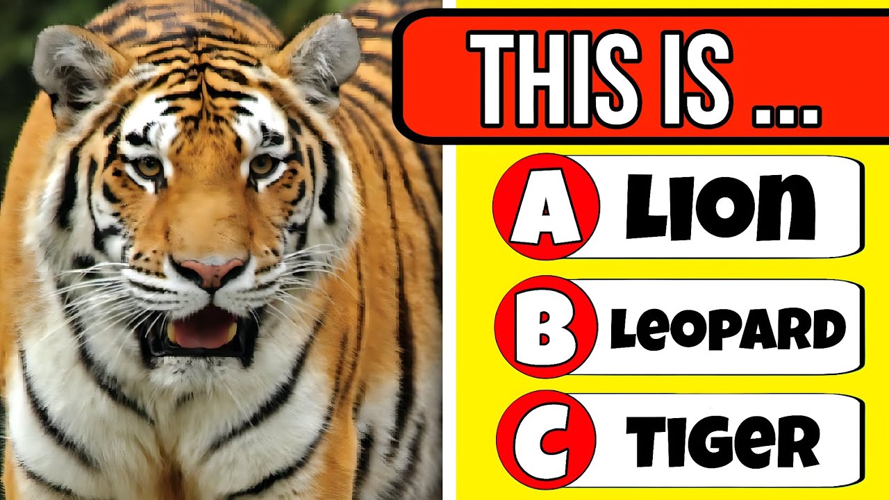 🎉🧠 10 Unique General Knowledge 💡 Questions for Kids | Fun Learning Quiz 2026 🎊