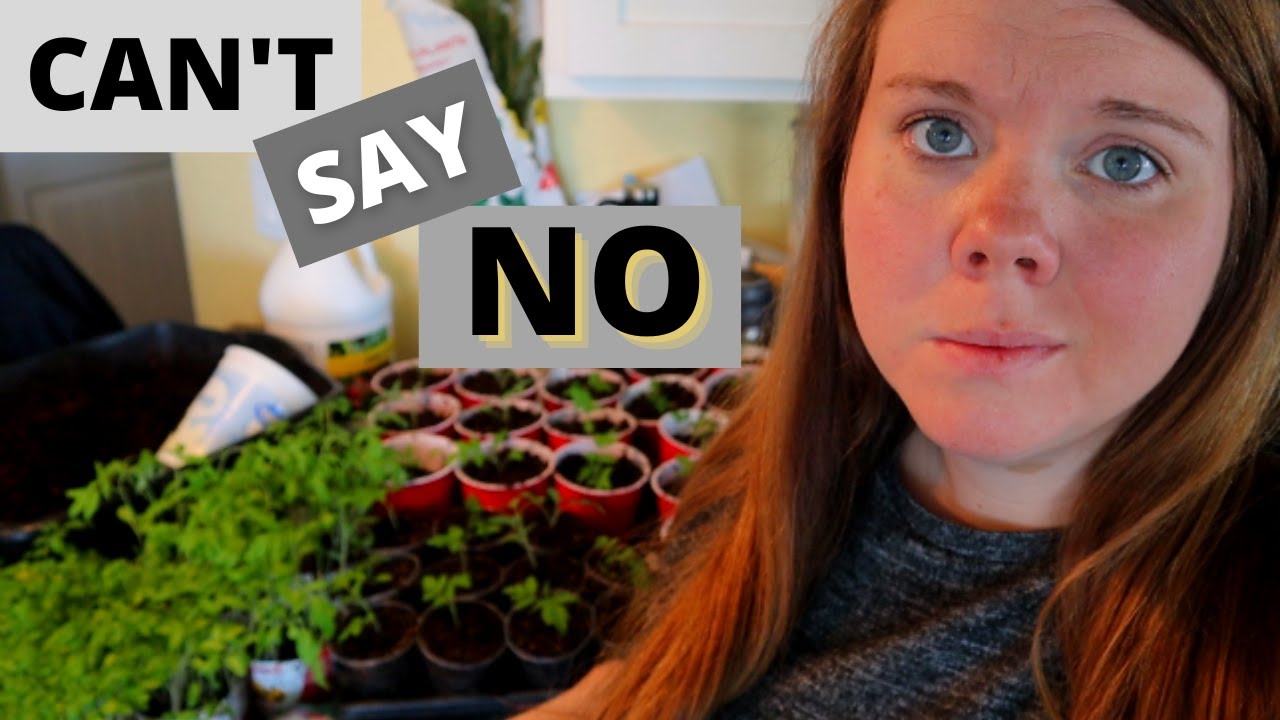 DON'T let them die! Spend the day with me cooking & gardening | Vlog