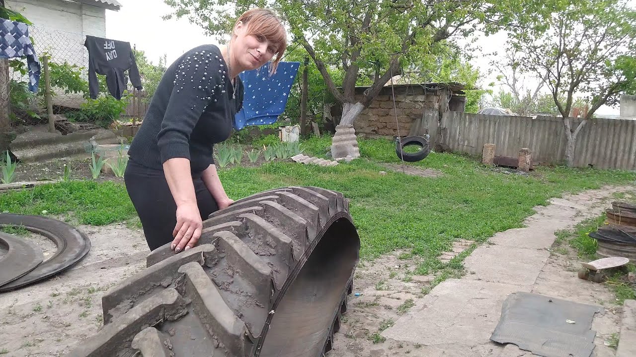 Шина буде новою домівкою для птиці