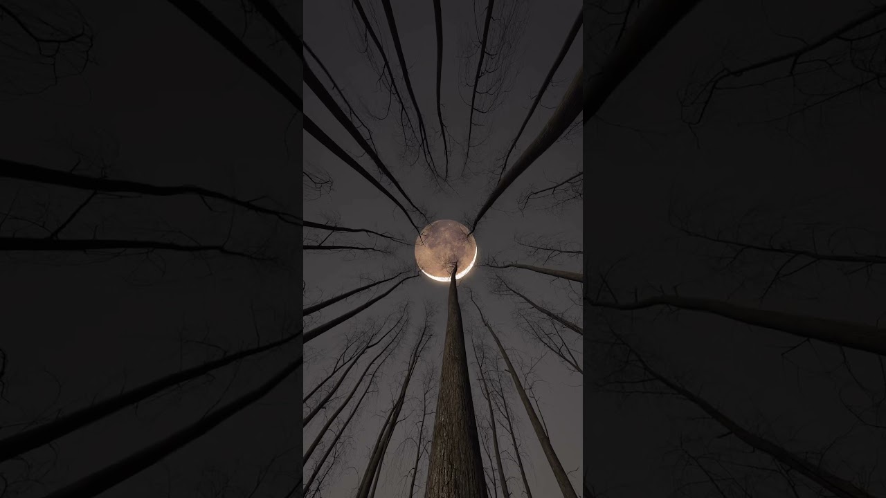 moon rise |  moon video background | moon rise guru randhawa