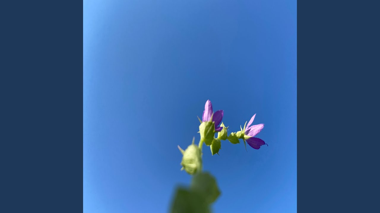 Air Layer