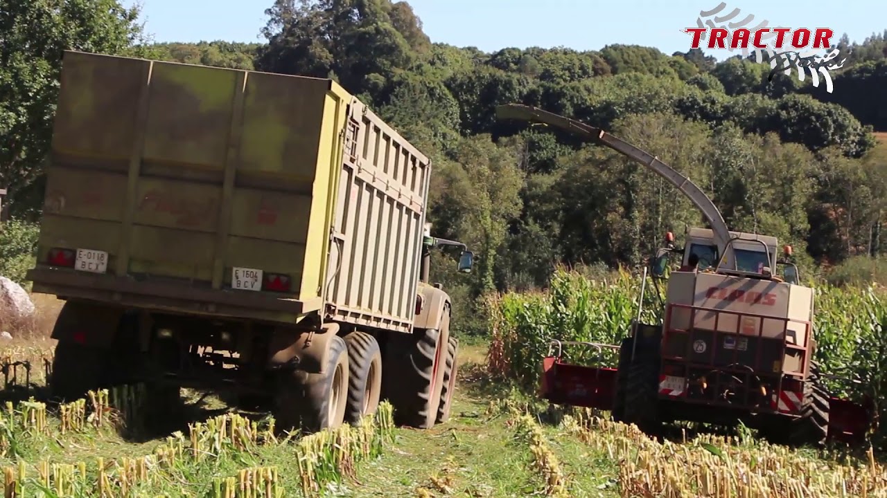 Seracer ensilando en Finca Arosa con Claas 900 picado con SHREDLAGE