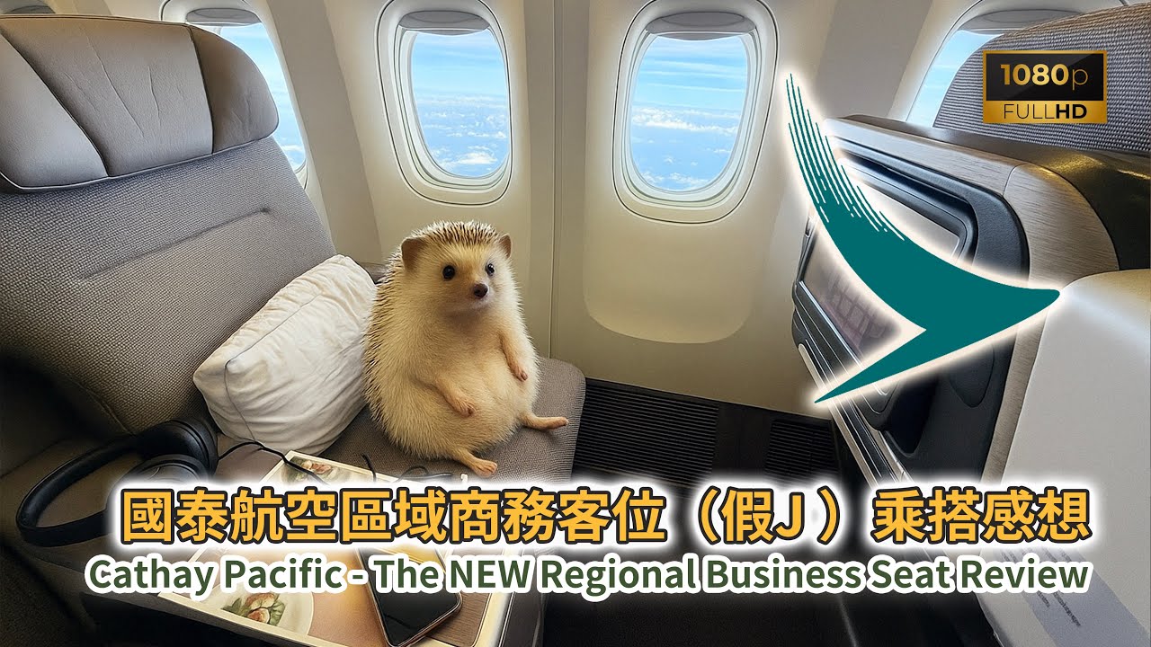 [航空迷分享] 從香港飛東京！體驗國泰航空區域商務艙『假J』座位＆全新設計 (The RENEWED Cathay Pacific CX Regional Business Seats Review)