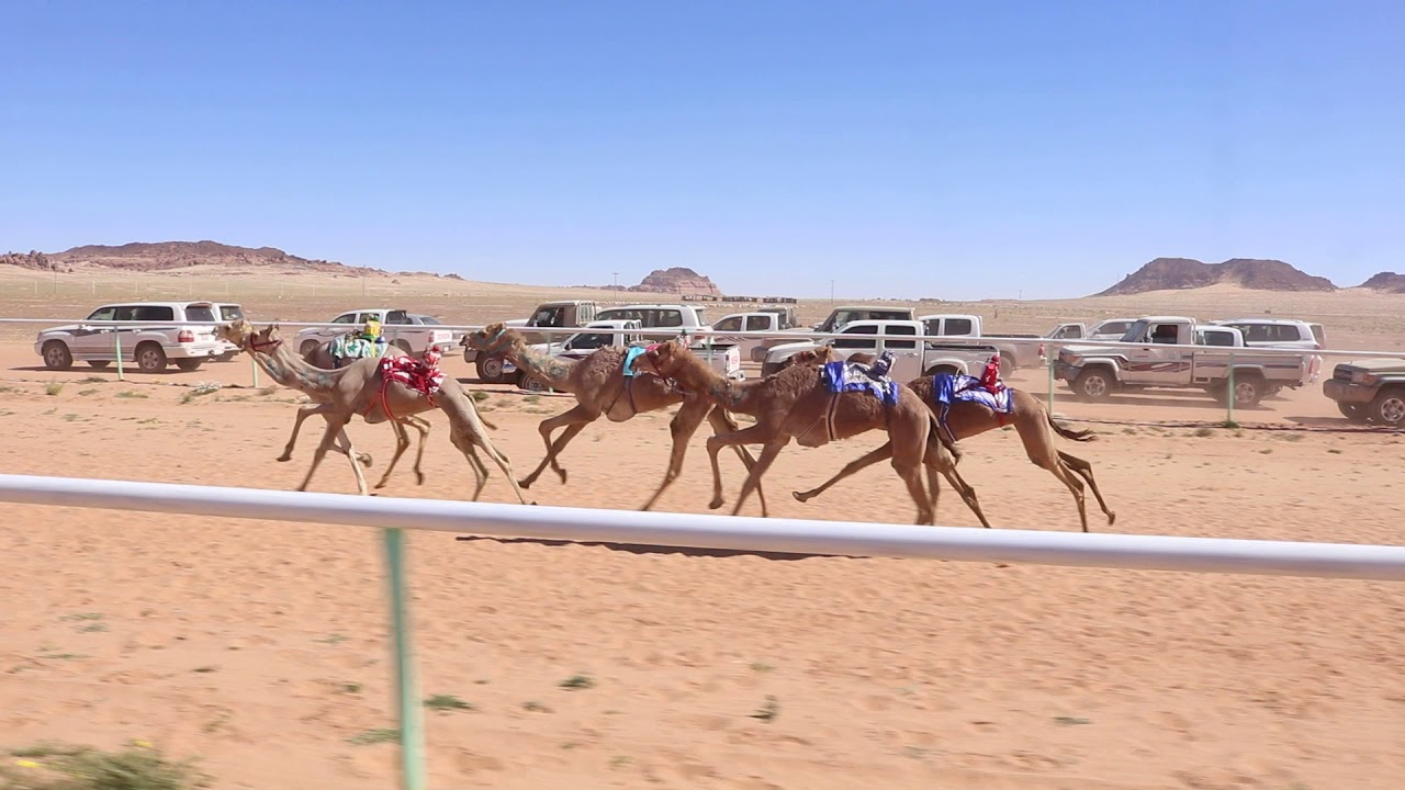 (بشاير) عطيه مطير العطوي