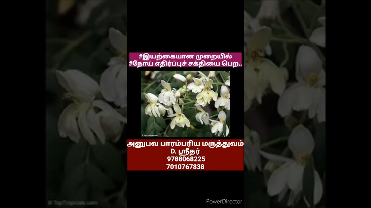#நோய்