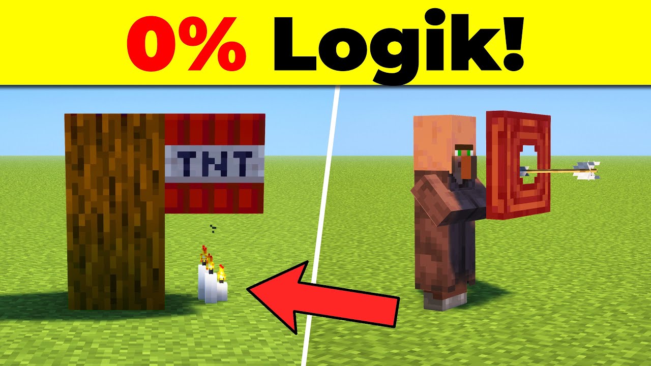 33 DINGE in MINECRAFT die KEINEN SINN ergeben!