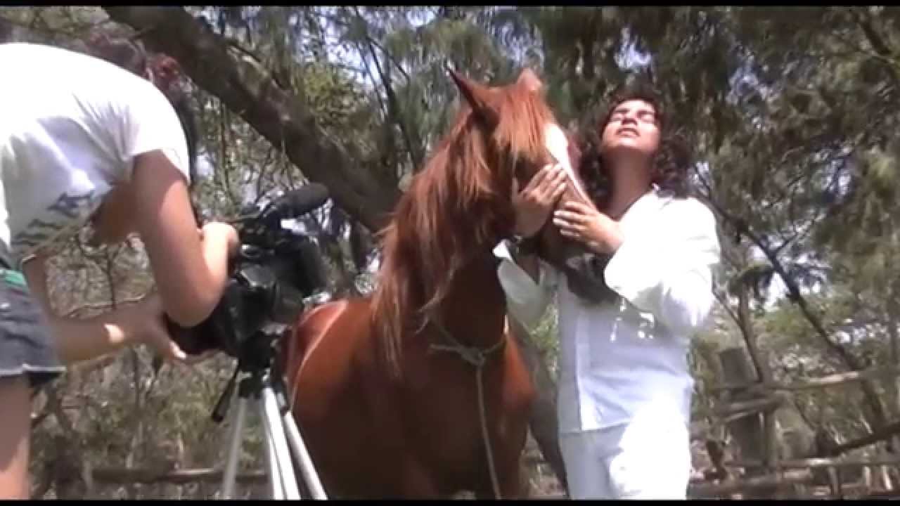 JOHN LAURA NATURE  - BACKSTAGE