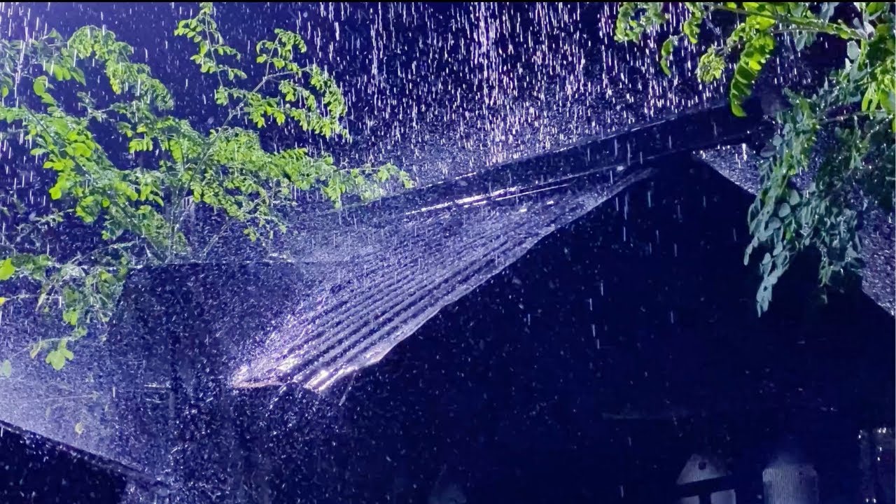 Ultimate Relaxation with Powerful Rain and Roar Thunder on the Light Tin Roof in the Dark Night😴