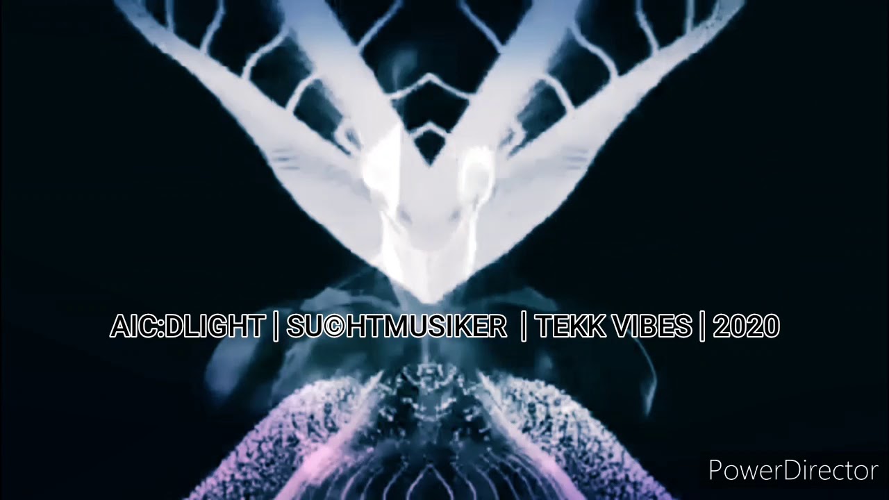 AIC:DLIGHT | SU&copy;HTMUSIKER  | TEKK VIBES | 2020 [ACIDTECHNO]