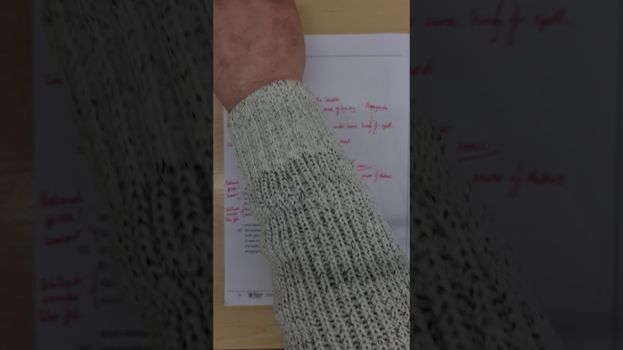 Kamikaze - GCSE Literature Annotation