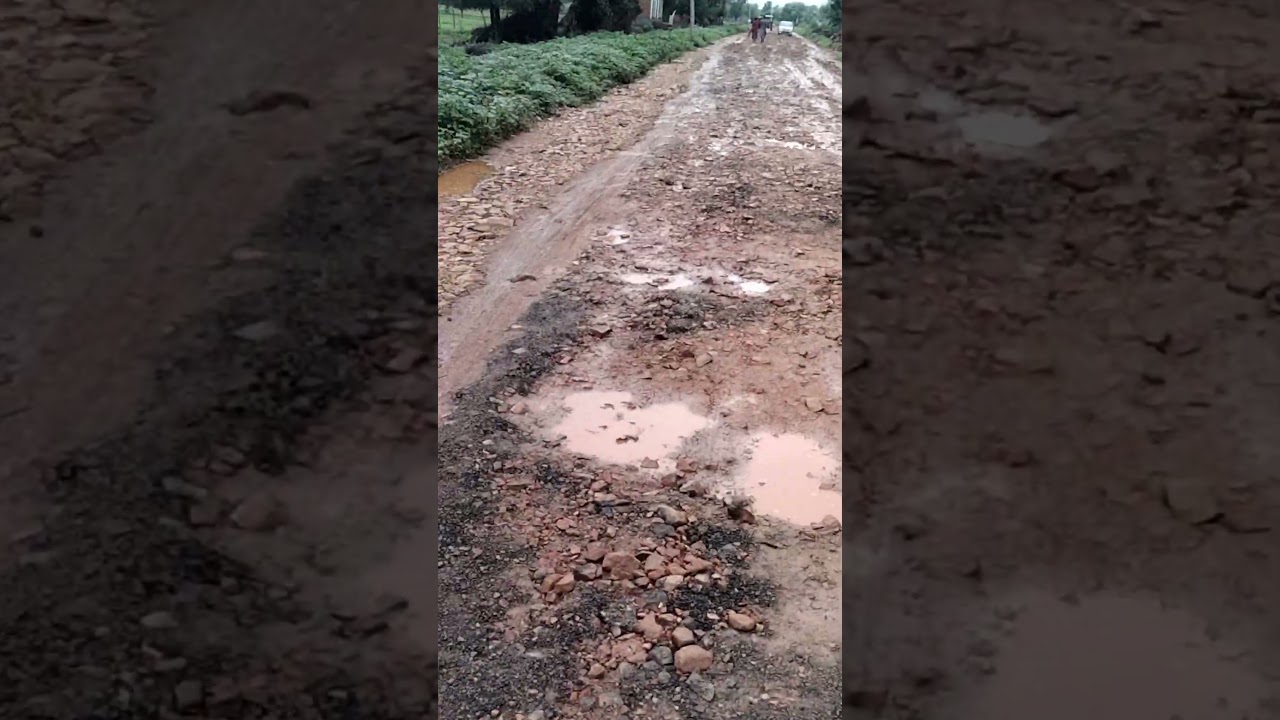 Ramotar Sarpanch Comedy Video 🤣🤣🤣