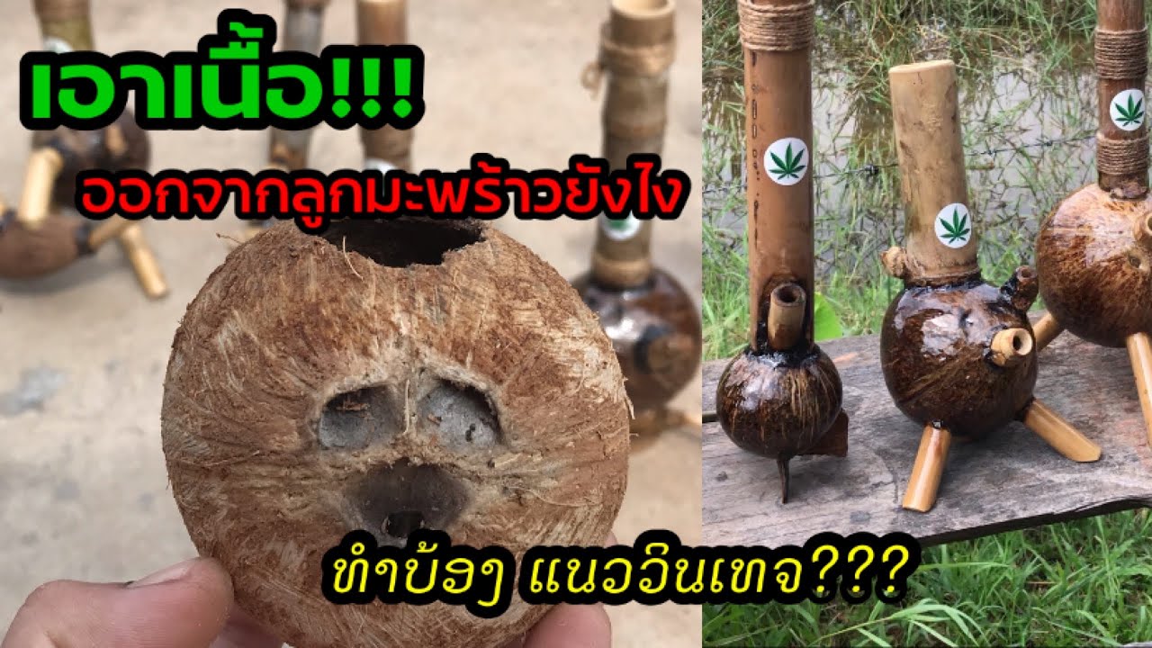 วิธีเอาเนื้อออกจากลูกมะพร้าว
